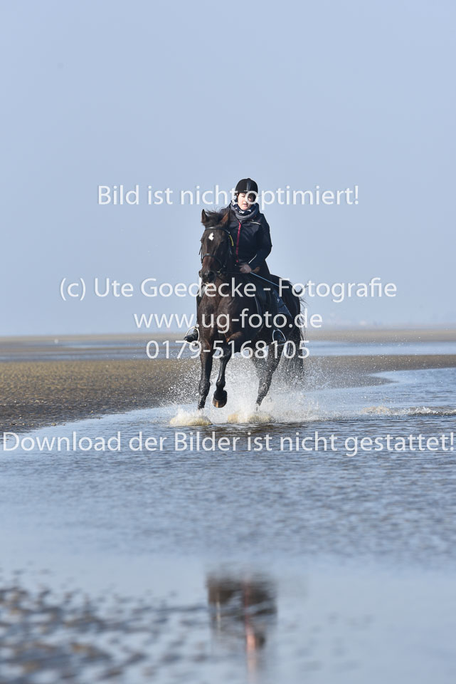 St-Peter-Ording-7-8-_213.jpg