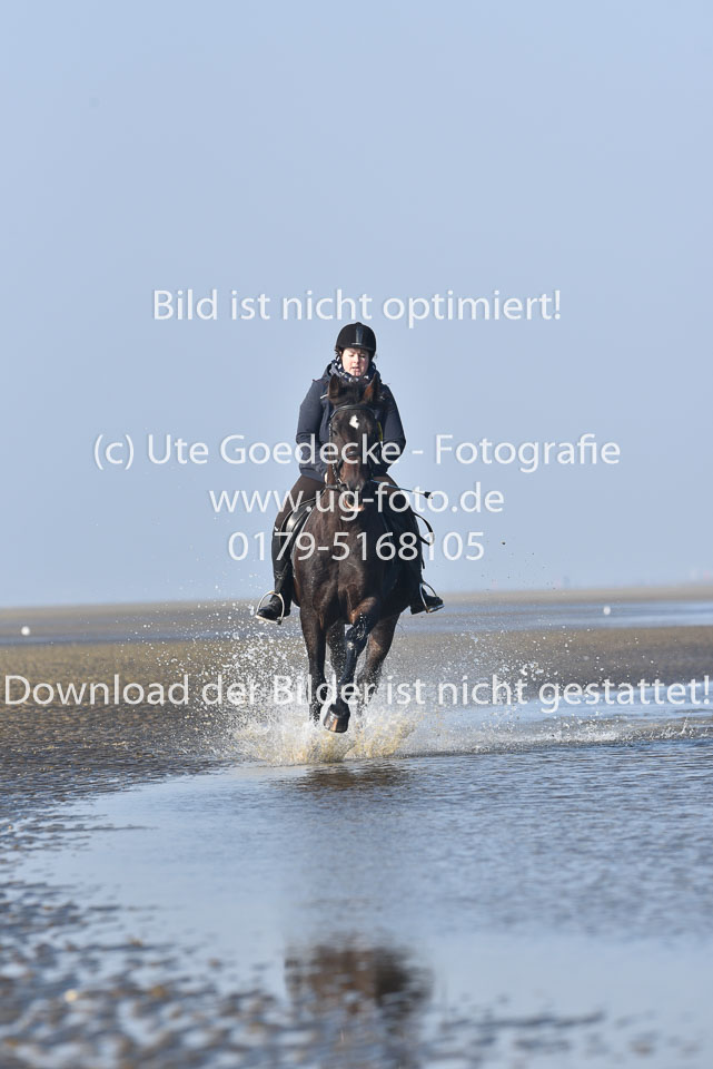 St-Peter-Ording-7-8-_217.jpg