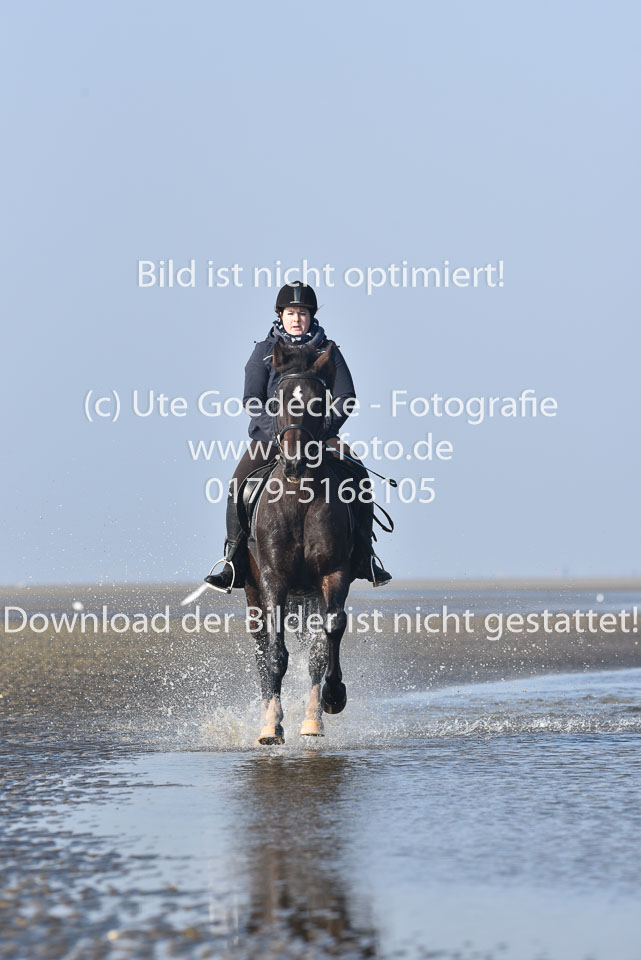 St-Peter-Ording-7-8-_221.jpg