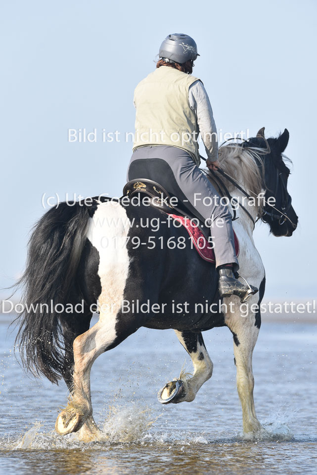 St-Peter-Ording-7-8-_236.jpg