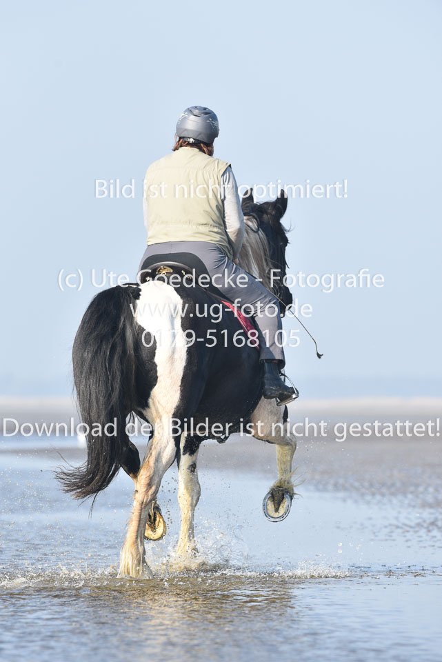 St-Peter-Ording-7-8-_239.jpg