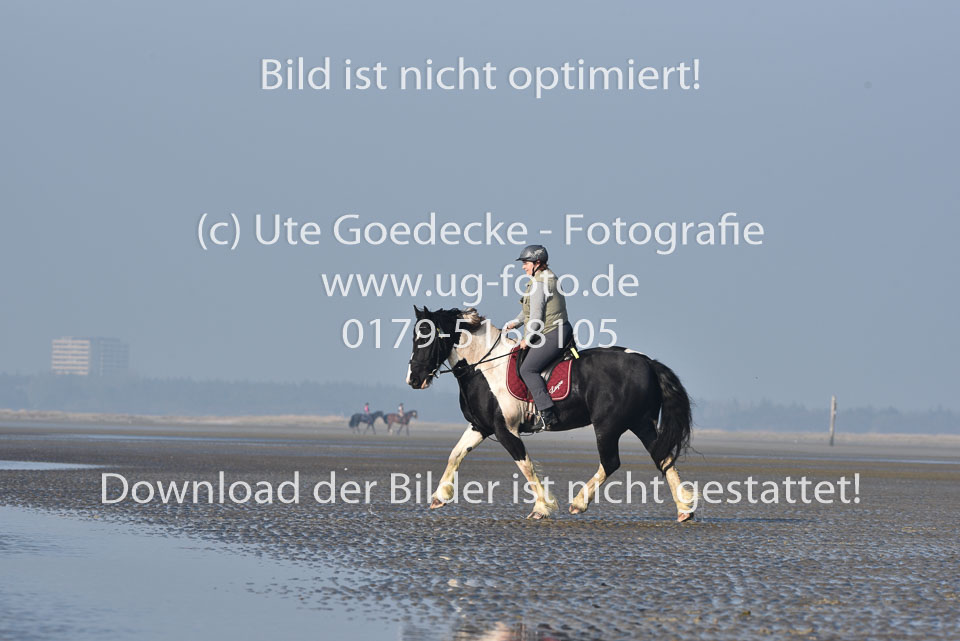 St-Peter-Ording-7-8-_241.jpg
