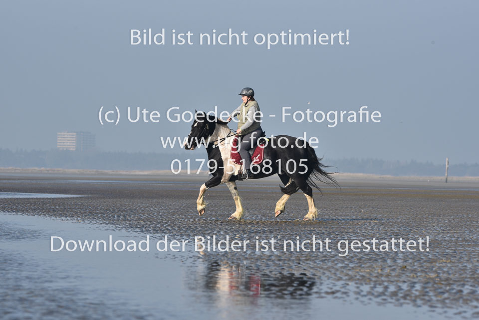 St-Peter-Ording-7-8-_242.jpg