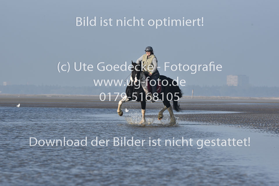 St-Peter-Ording-7-8-_245.jpg