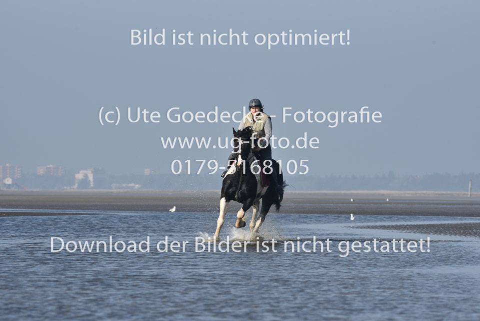 St-Peter-Ording-7-8-_248.jpg
