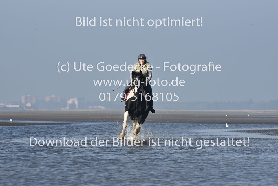 St-Peter-Ording-7-8-_250.jpg