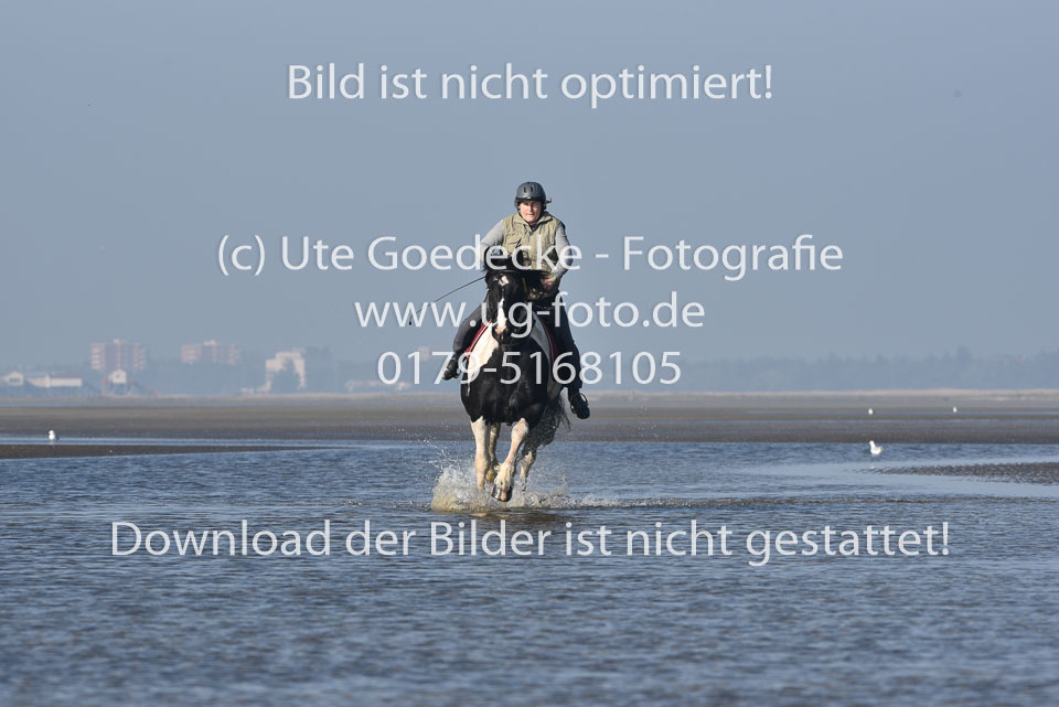 St-Peter-Ording-7-8-_251.jpg