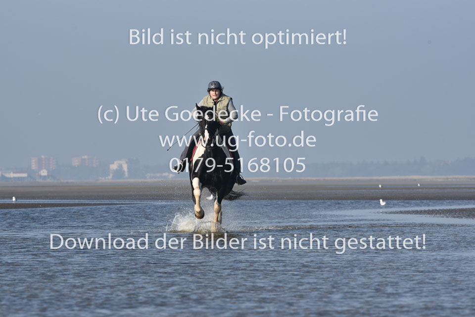St-Peter-Ording-7-8-_252.jpg
