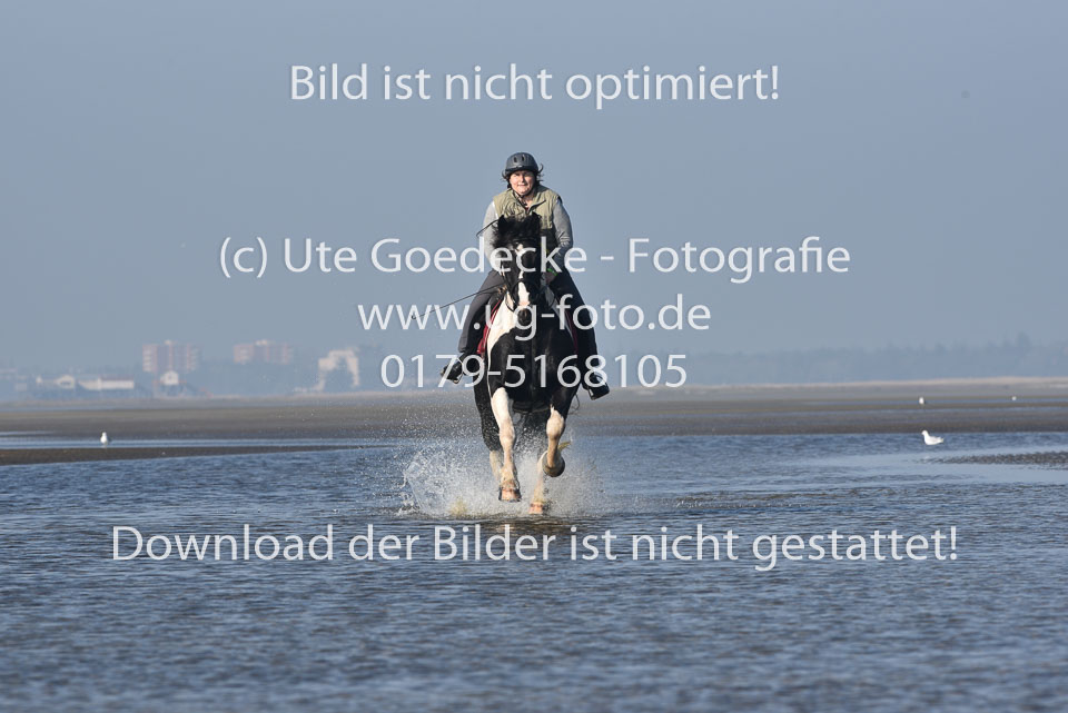 St-Peter-Ording-7-8-_256.jpg