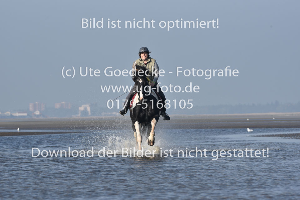 St-Peter-Ording-7-8-_260.jpg
