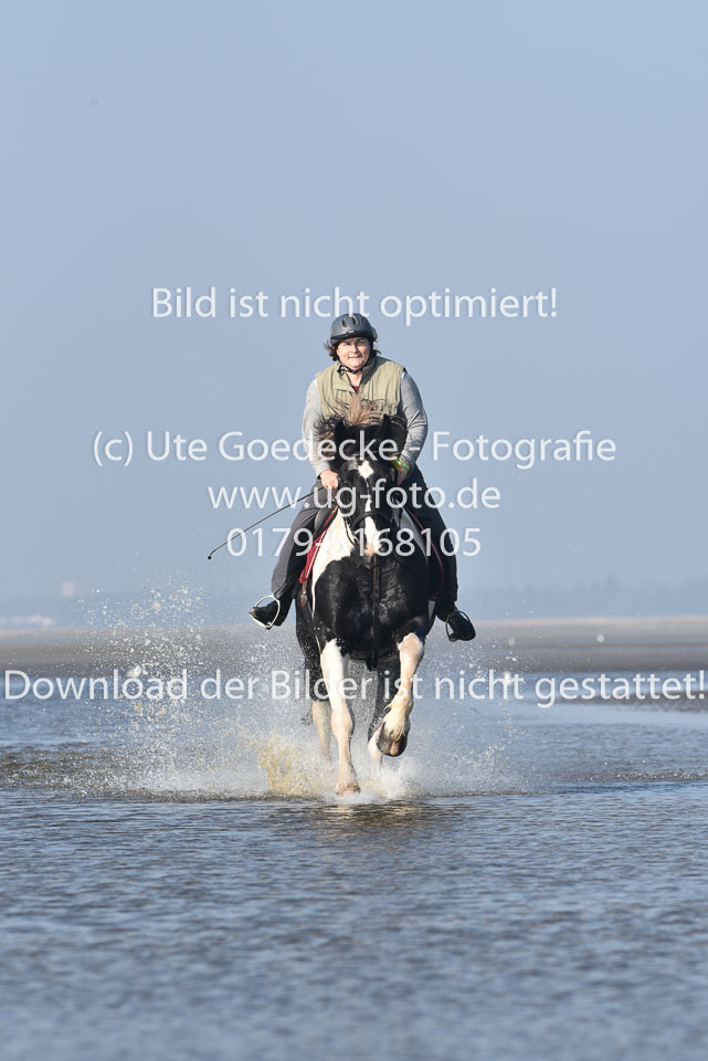 St-Peter-Ording-7-8-_264.jpg