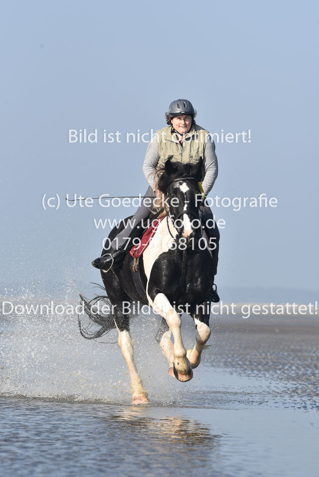 St-Peter-Ording-7-8-_273.jpg