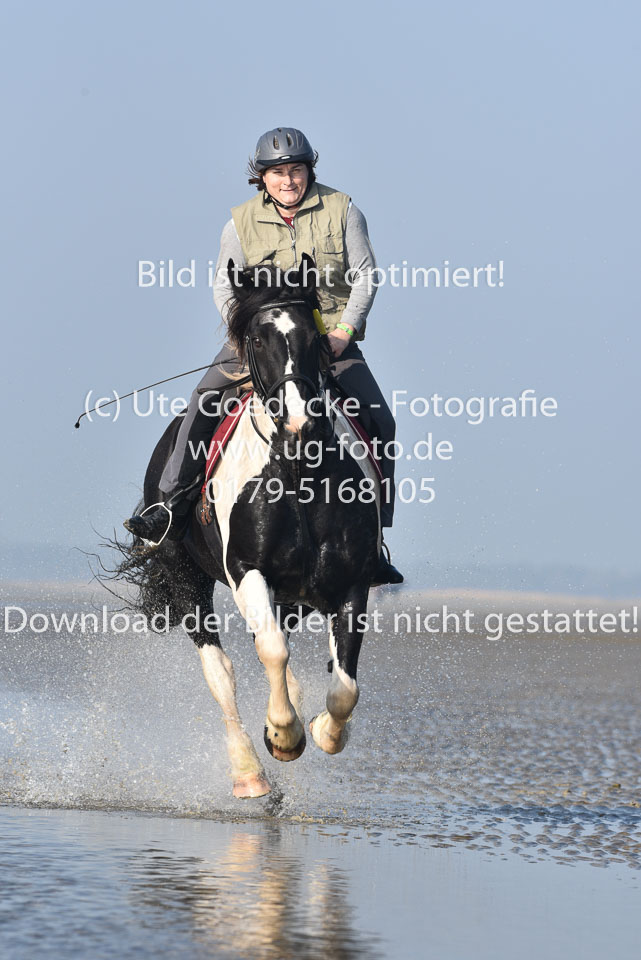 St-Peter-Ording-7-8-_276.jpg