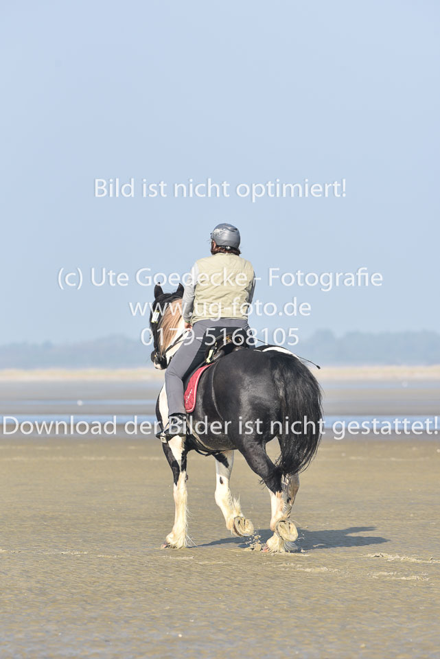 St-Peter-Ording-7-8-_285.jpg