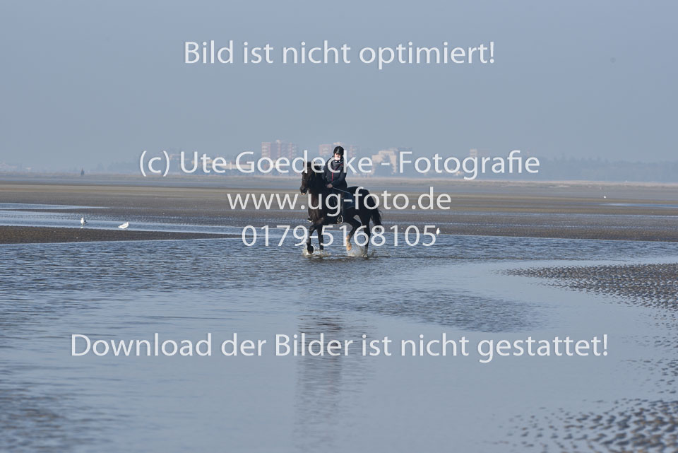 St-Peter-Ording-7-8-_287.jpg