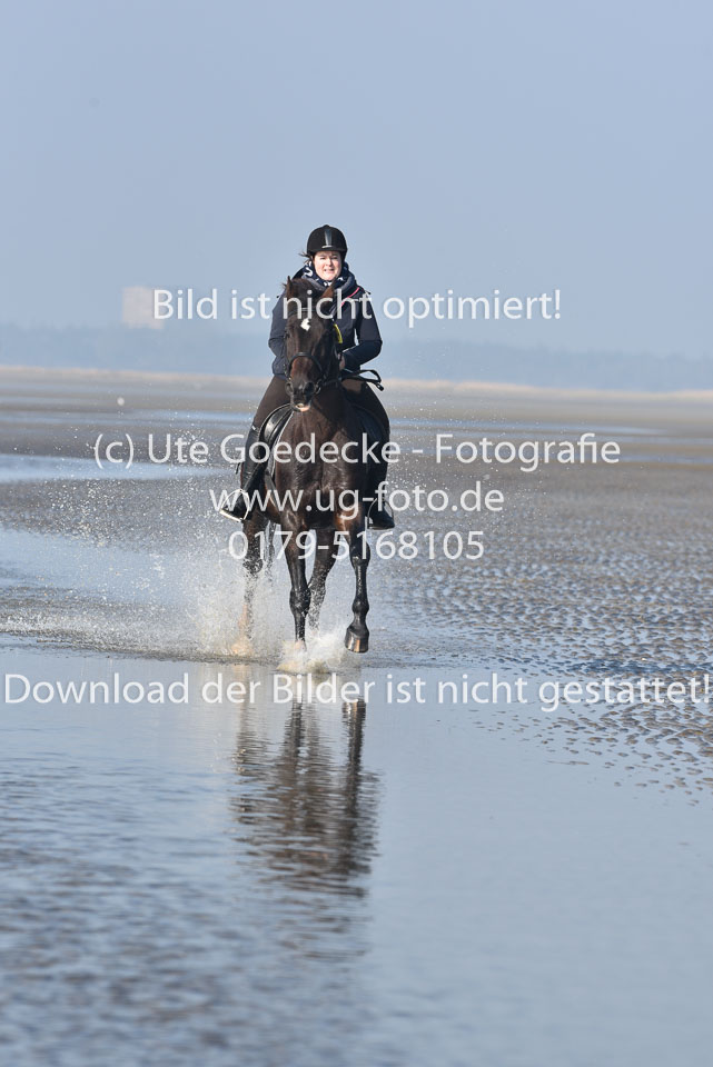 St-Peter-Ording-7-8-_294.jpg