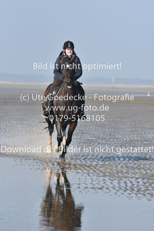 St-Peter-Ording-7-8-_299.jpg