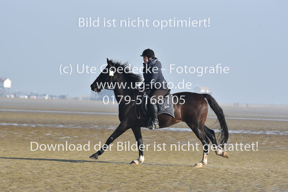 St-Peter-Ording-7-8-_313.jpg