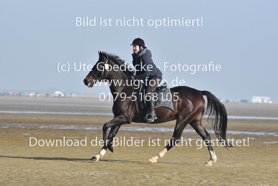 St-Peter-Ording-7-8-_317.jpg