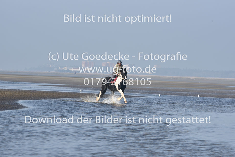 St-Peter-Ording-7-8-_323.jpg