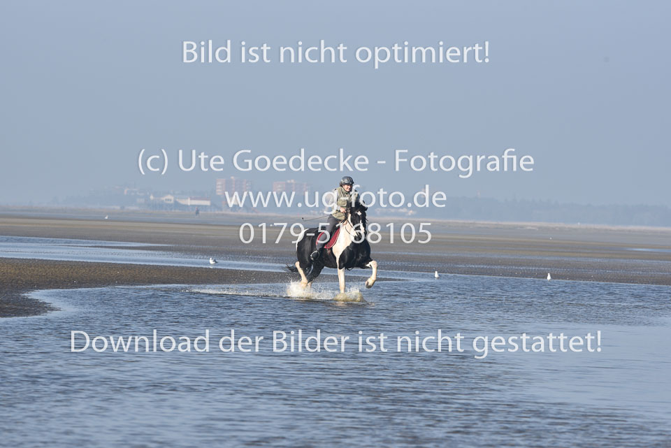 St-Peter-Ording-7-8-_324.jpg