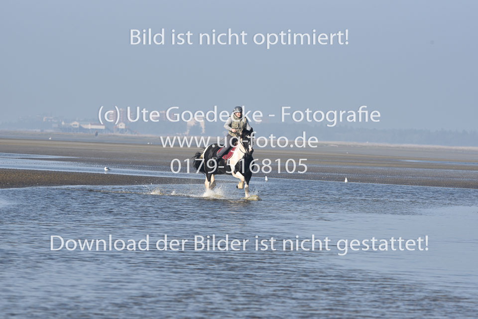 St-Peter-Ording-7-8-_326.jpg
