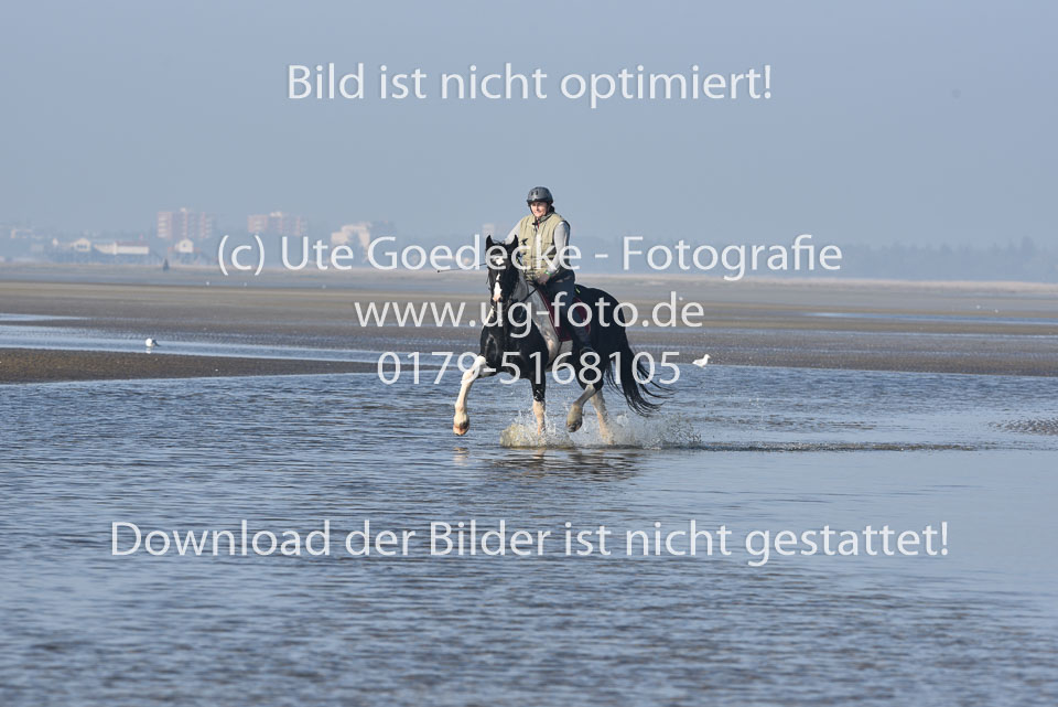 St-Peter-Ording-7-8-_338.jpg