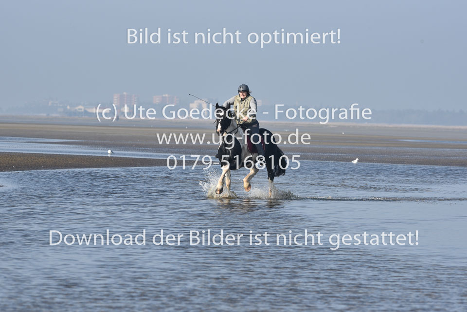 St-Peter-Ording-7-8-_340.jpg