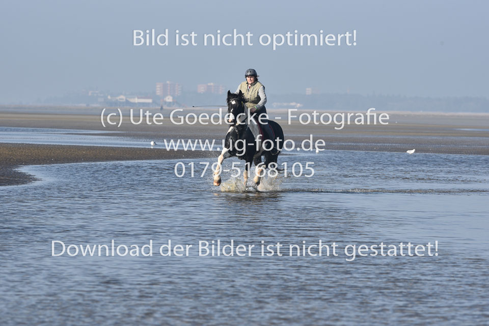 St-Peter-Ording-7-8-_341.jpg
