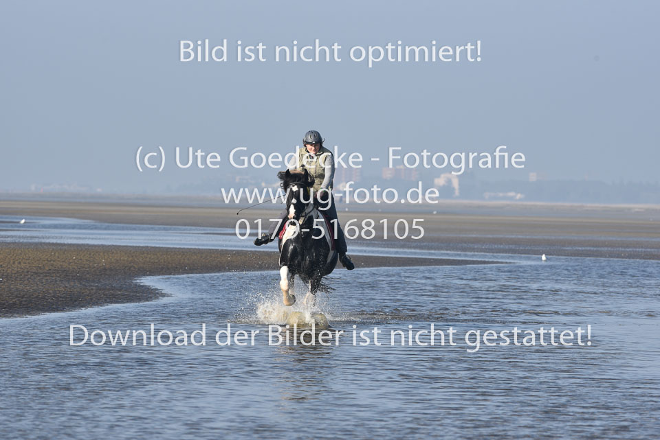 St-Peter-Ording-7-8-_345.jpg