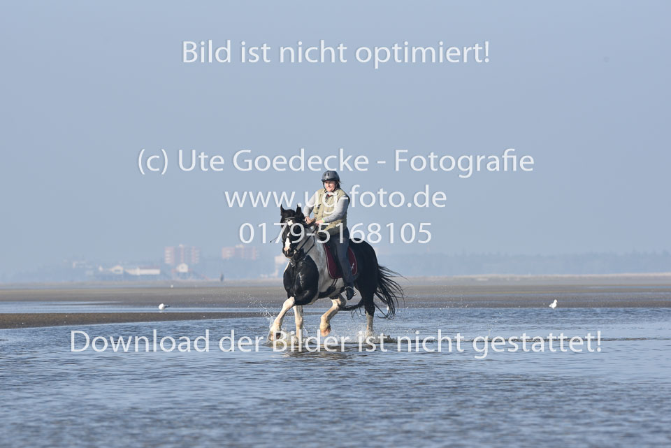 St-Peter-Ording-7-8-_347.jpg