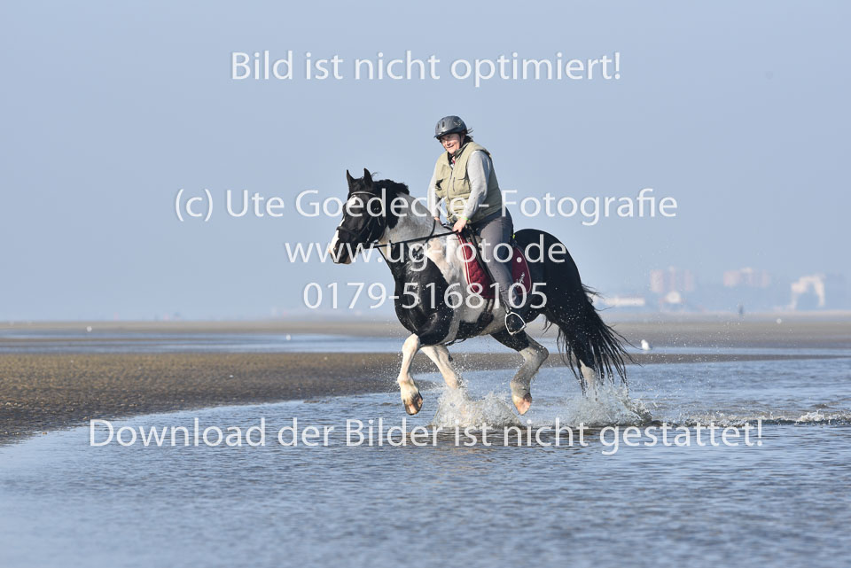 St-Peter-Ording-7-8-_353.jpg