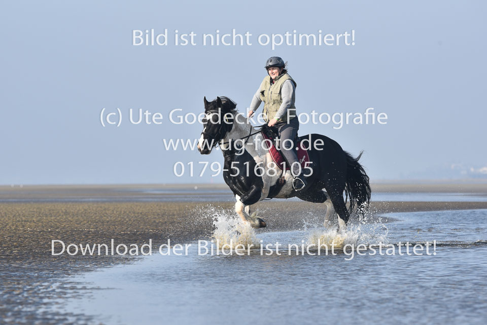 St-Peter-Ording-7-8-_355.jpg