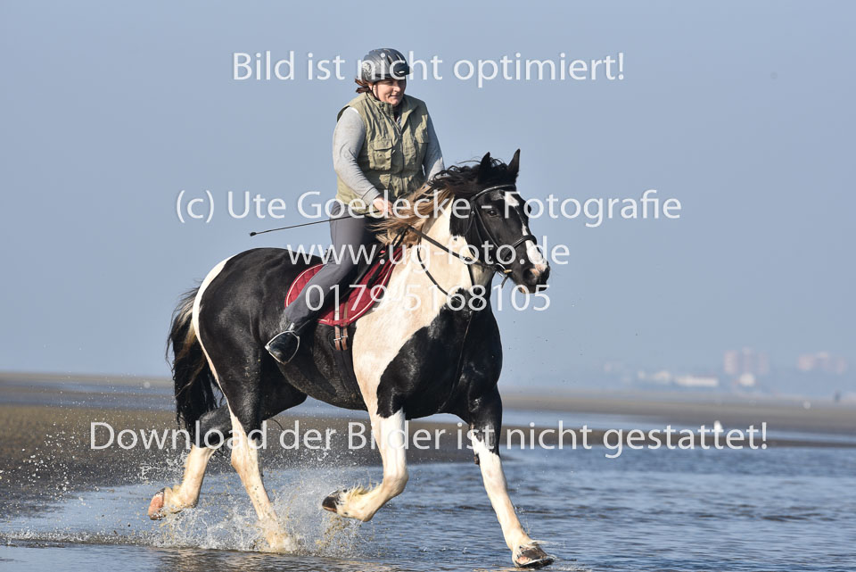 St-Peter-Ording-7-8-_357.jpg