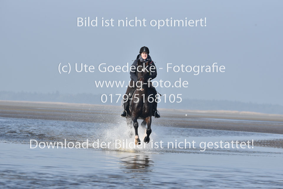 St-Peter-Ording-7-8-_367.jpg