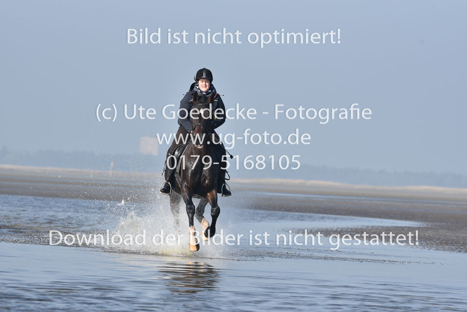St-Peter-Ording-7-8-_370.jpg