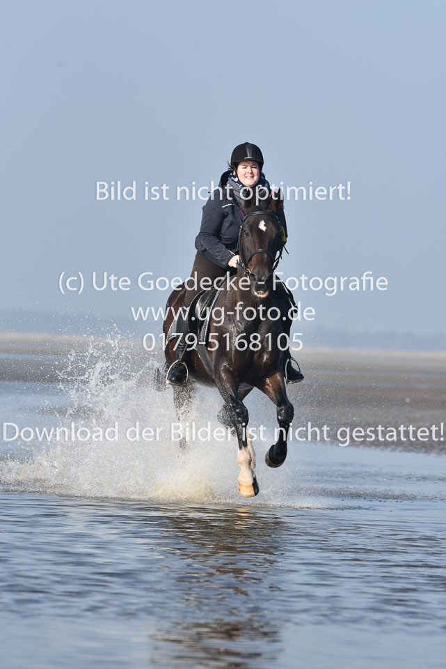 St-Peter-Ording-7-8-_371.jpg