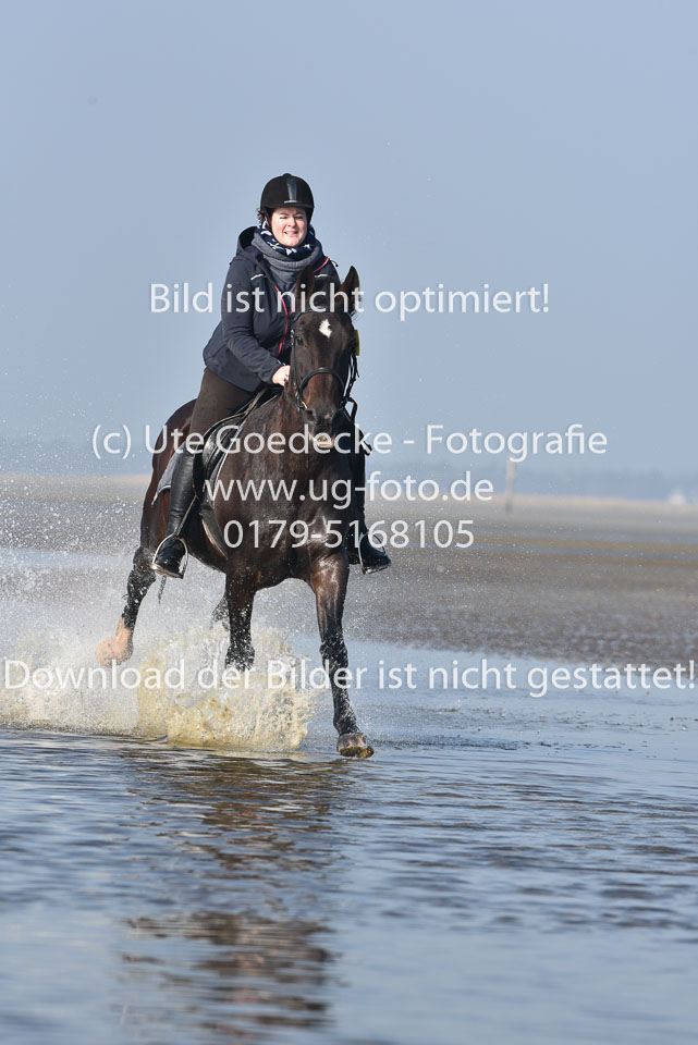 St-Peter-Ording-7-8-_372.jpg