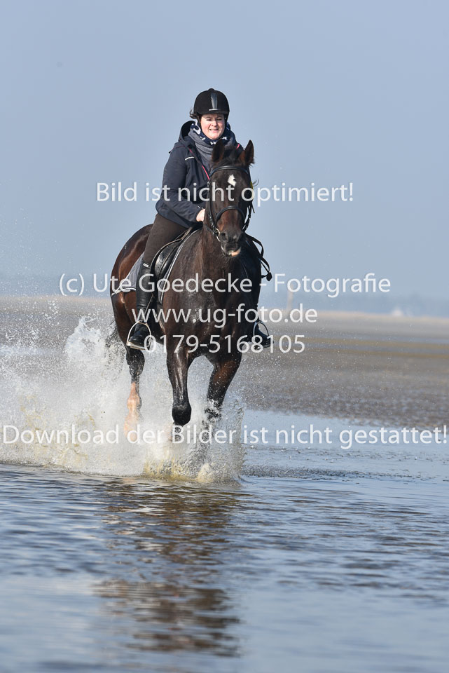 St-Peter-Ording-7-8-_373.jpg