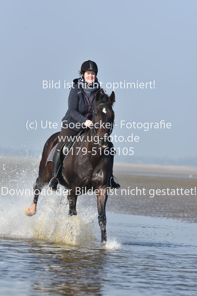 St-Peter-Ording-7-8-_375.jpg