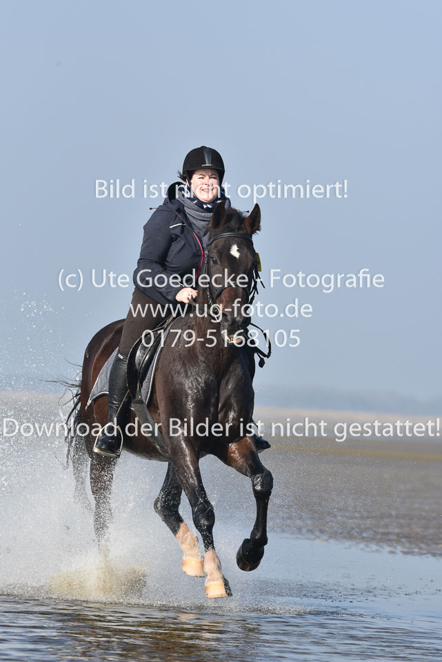 St-Peter-Ording-7-8-_377.jpg