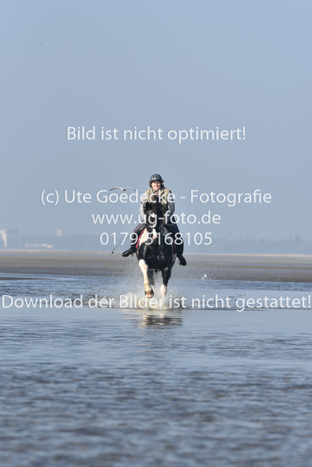 St-Peter-Ording-7-8-_387.jpg
