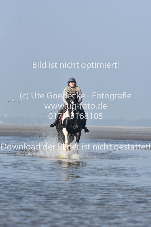 St-Peter-Ording-7-8-_396.jpg