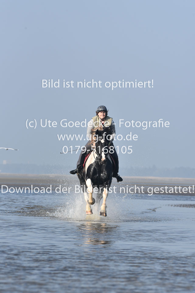 St-Peter-Ording-7-8-_399.jpg