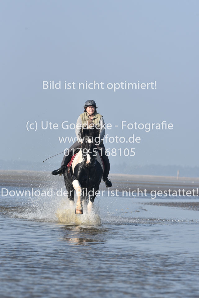 St-Peter-Ording-7-8-_402.jpg