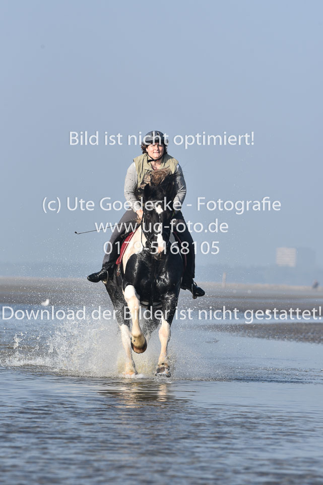 St-Peter-Ording-7-8-_407.jpg