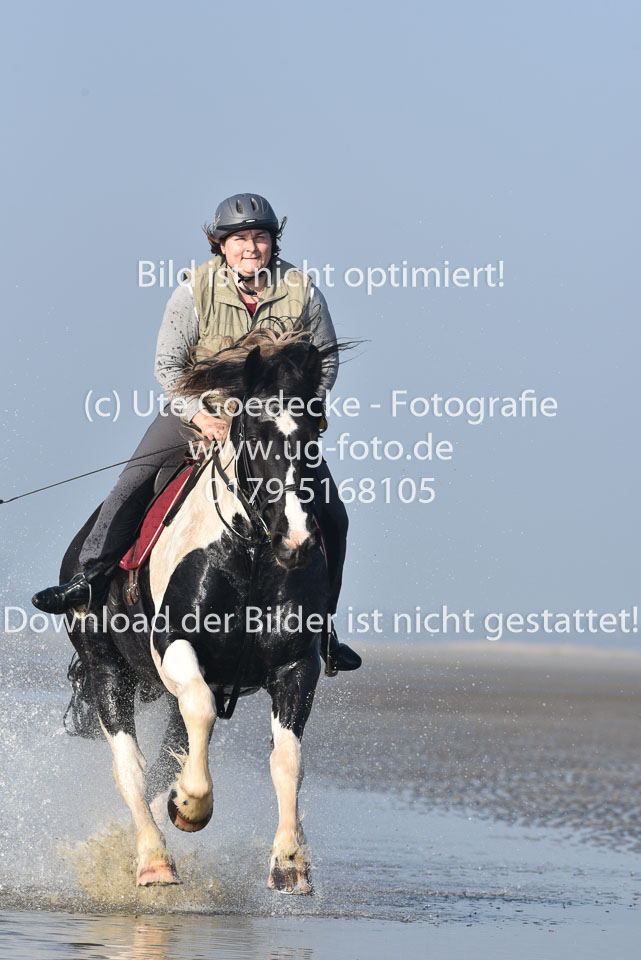 St-Peter-Ording-7-8-_415.jpg