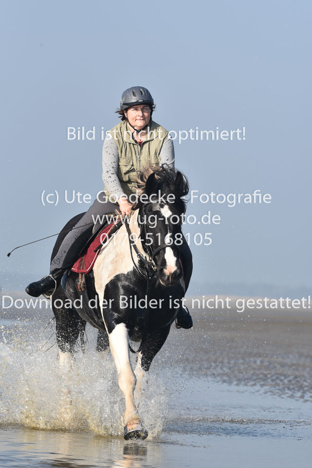 St-Peter-Ording-7-8-_416.jpg