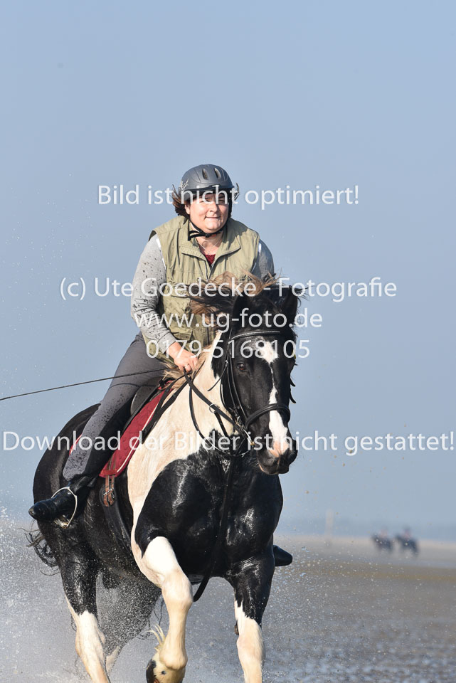 St-Peter-Ording-7-8-_417.jpg
