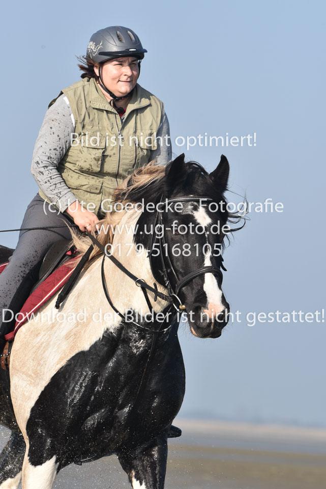 St-Peter-Ording-7-8-_420.jpg